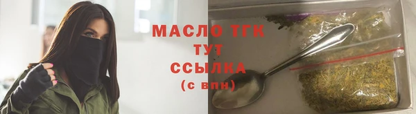 mdpv Богородицк