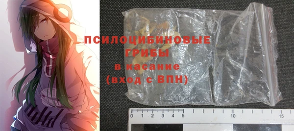 mdpv Богородицк