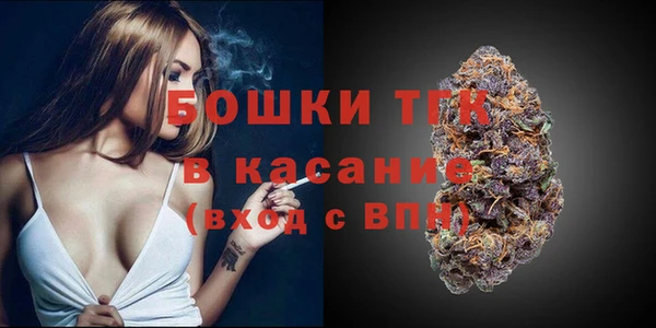 mdpv Богородицк