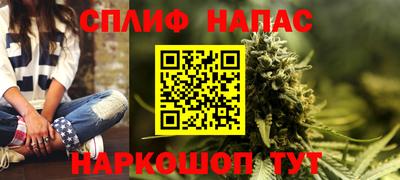 гашик Кандалакша