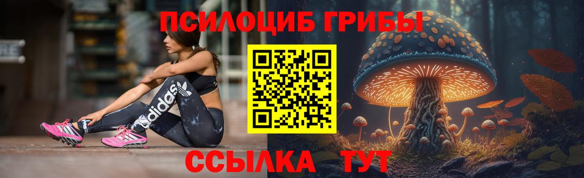 Надым  Галлюциногенные грибы GOLDEN TEACHER  Вход с VPN 